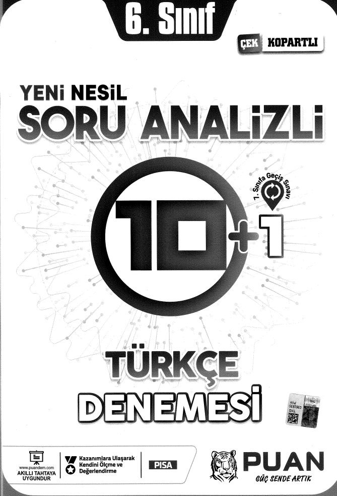 SORU ANALİZİ 10+1 TÜRÇE DENEMESİ