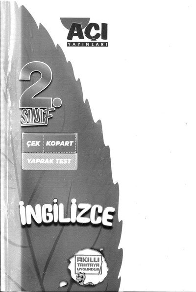 İNGİLİZCE