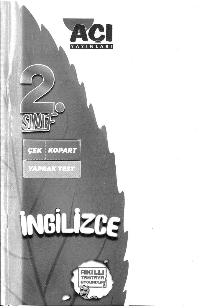 İNGİLİZCE