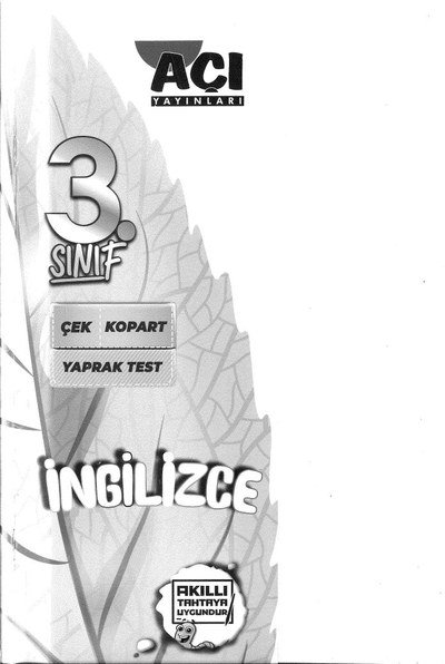 İNGİLİZCE