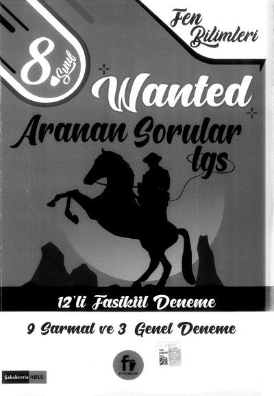 WANTED ARANAN SORULAR LGS 12'Lİ FASİKÜL DENEME