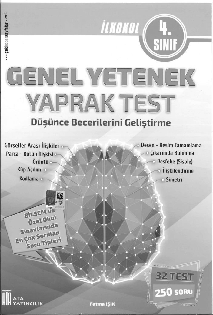 GENEL YETENEK DÜŞÜNCE BECERİLERİNİ GELİŞTİRME