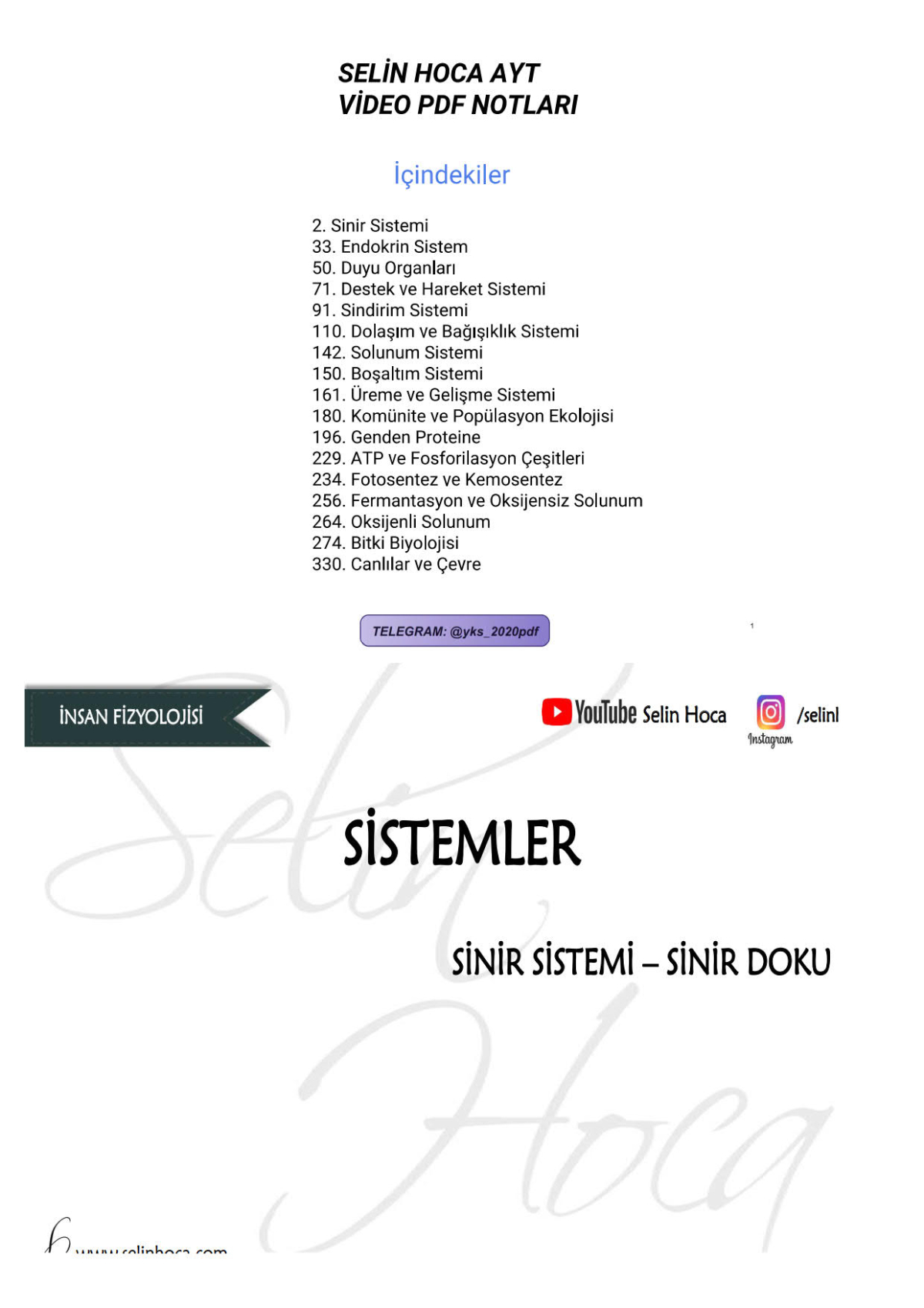 SELİN HOCA AYT