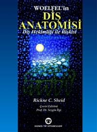 Diş Anatomisi Diş Hekimliği ile İlişkisi, Woelfel, Rickne Sheid, Sezgin İlgi Fotokopi.SHOP - Öğrencilerin Marketi!