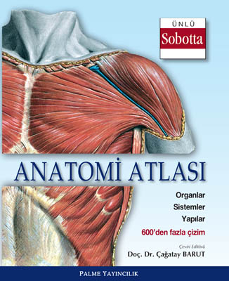 Anatomi Atlası (Sobotta Çizimleri) Palme Yayıncılık