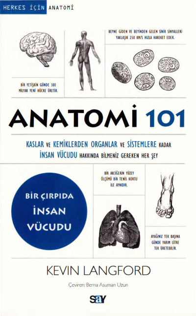 Anatomi 101 Say Yayınları